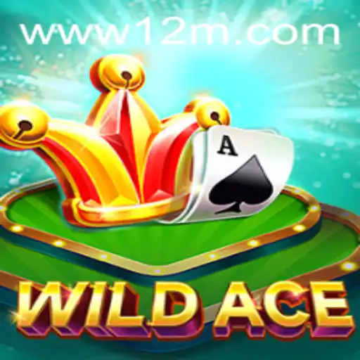 WildAce: Descubra o Novo Jogo Sensação com W12M.com